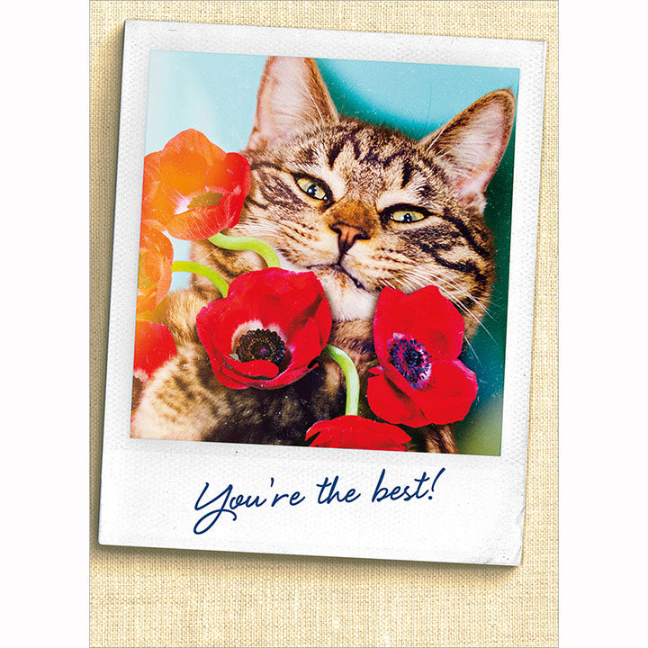 Avanti Press Cat Holding Flower Photo Thank You Card
