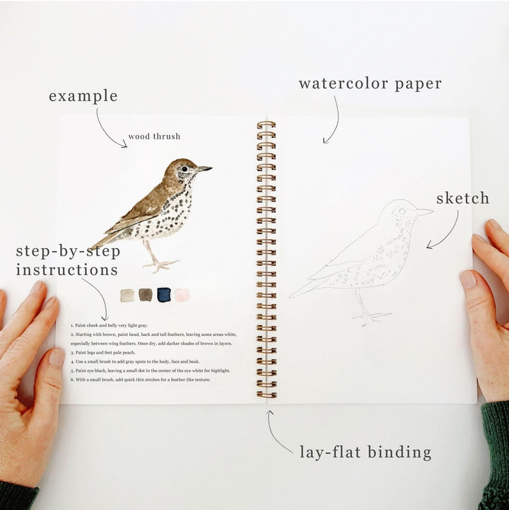Emily Lex Watercolor Workbook - Birds
