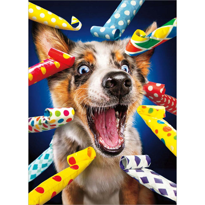 Avanti Press Happy Dog Party Blowers Birthday Card