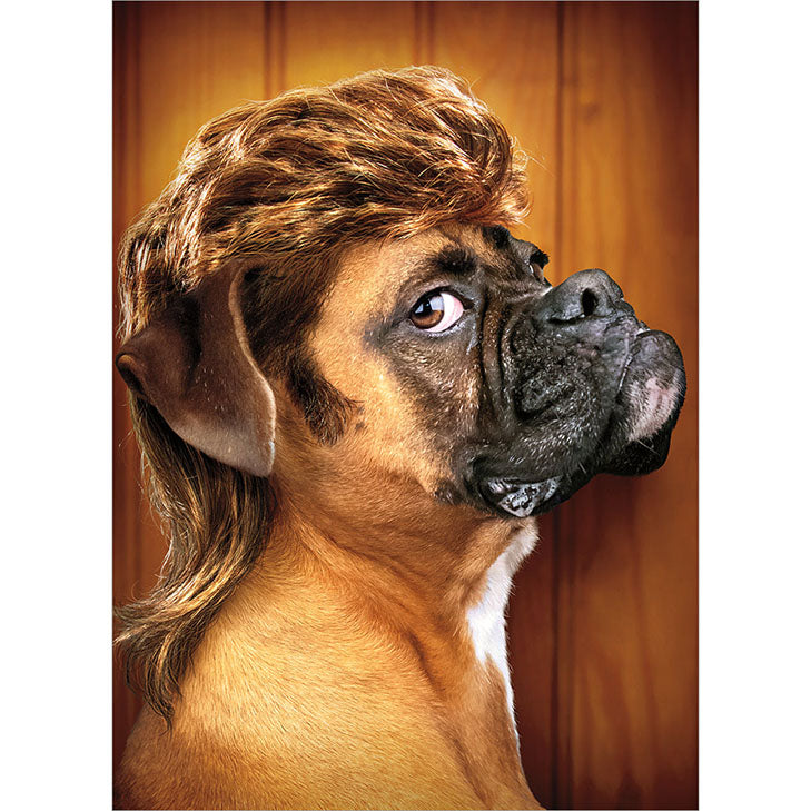 Avanti Press Dog with Mullet Birthday Card