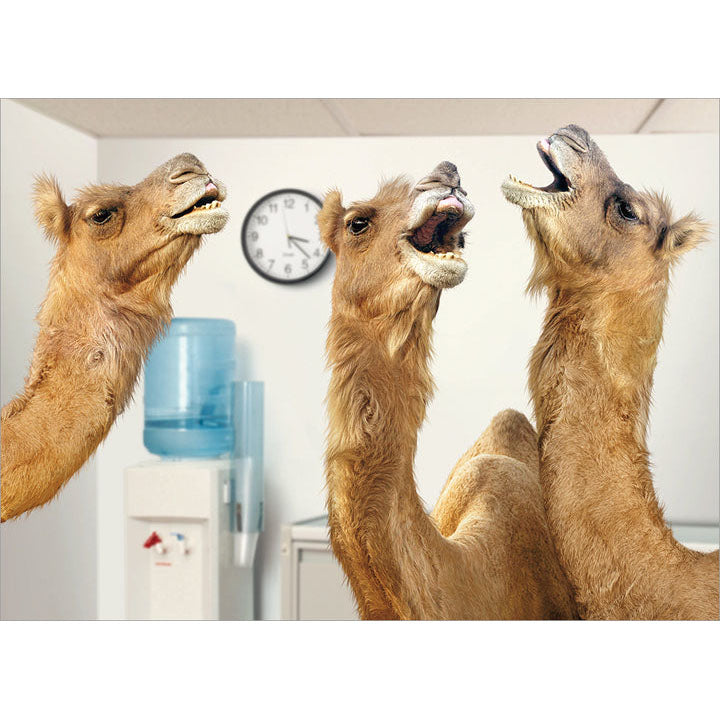 Avanti Press Camels at Office Water Cooler Retirement Card