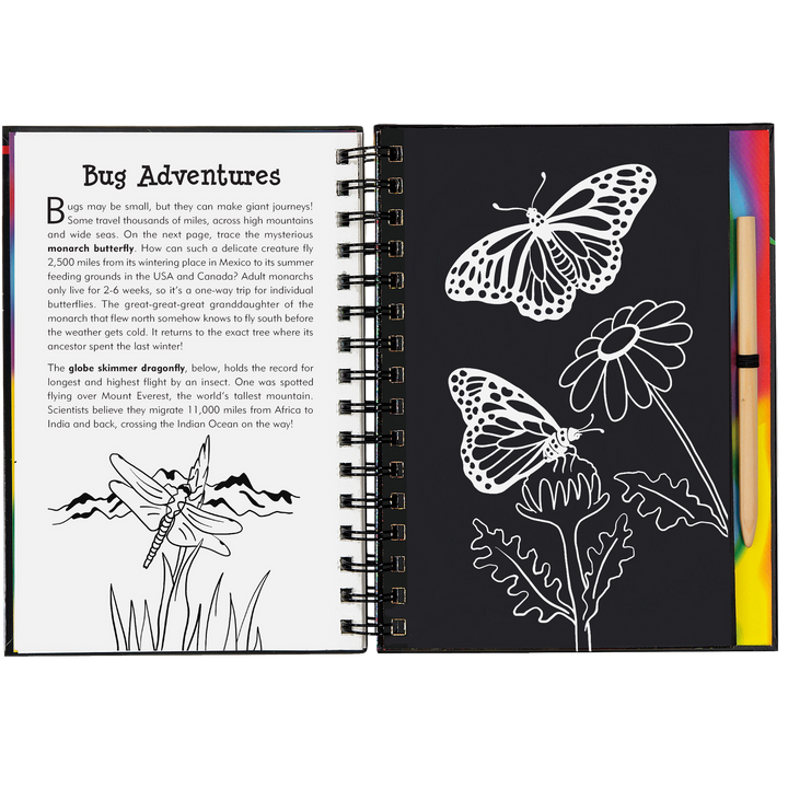 Peter Pauper Press Scratch and Sketch - Bugs