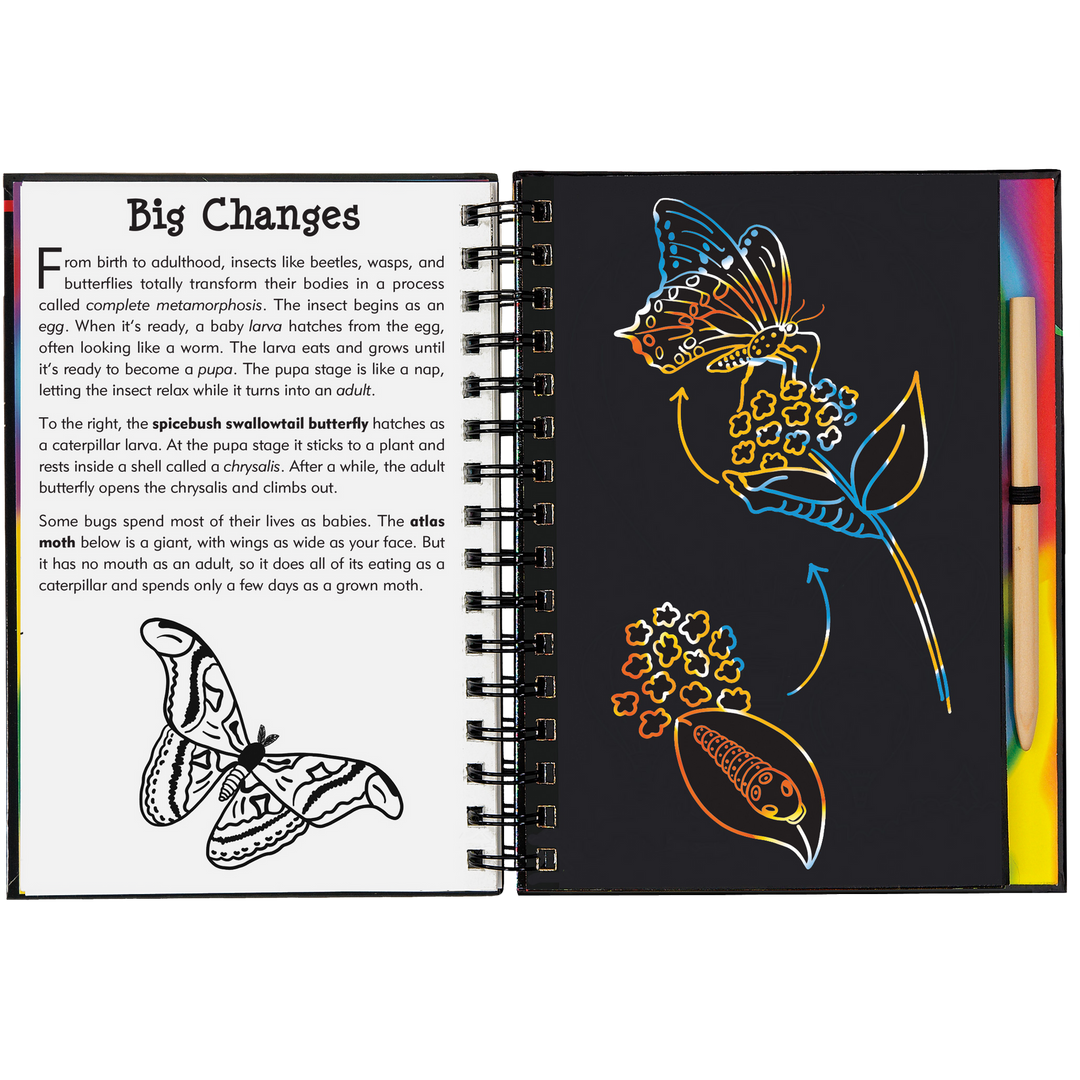 Peter Pauper Press Scratch and Sketch - Bugs