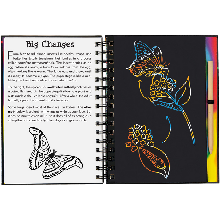 Peter Pauper Press Scratch and Sketch - Bugs