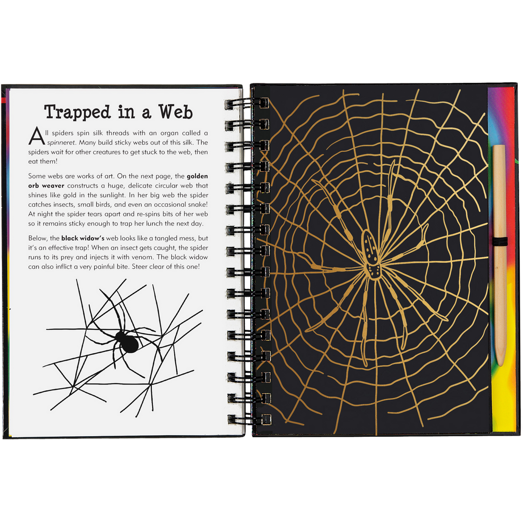 Peter Pauper Press Scratch and Sketch - Bugs