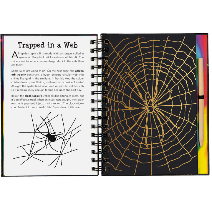 Peter Pauper Press Scratch and Sketch - Bugs