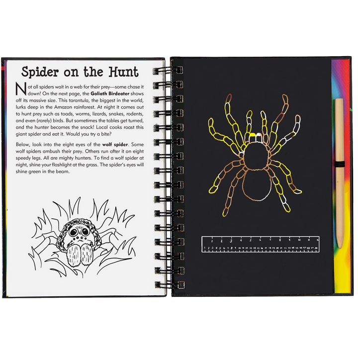Peter Pauper Press Scratch and Sketch - Bugs