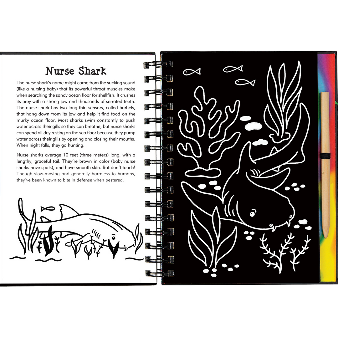 Peter Pauper Press Scratch and Sketch - Sharks