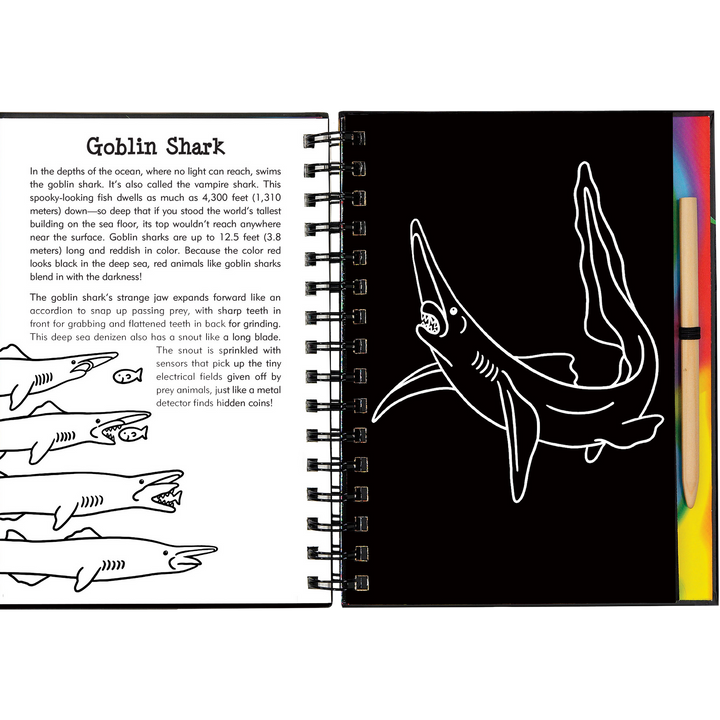 Peter Pauper Press Scratch and Sketch - Sharks