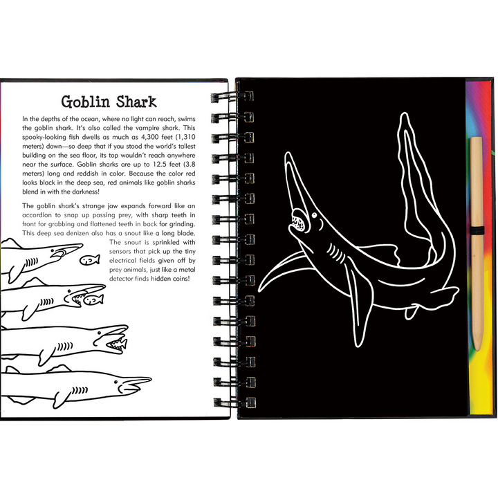 Peter Pauper Press Scratch and Sketch - Sharks