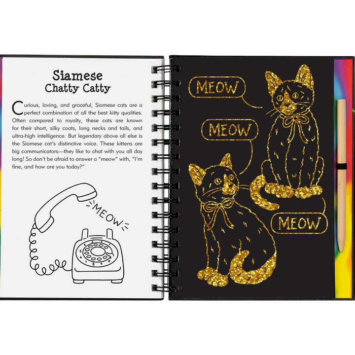 Peter Pauper Press Scratch and Sketch - Kittens
