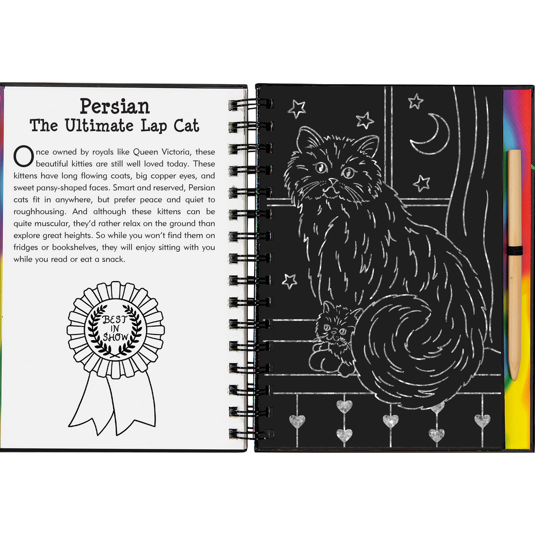 Peter Pauper Press Scratch and Sketch - Kittens