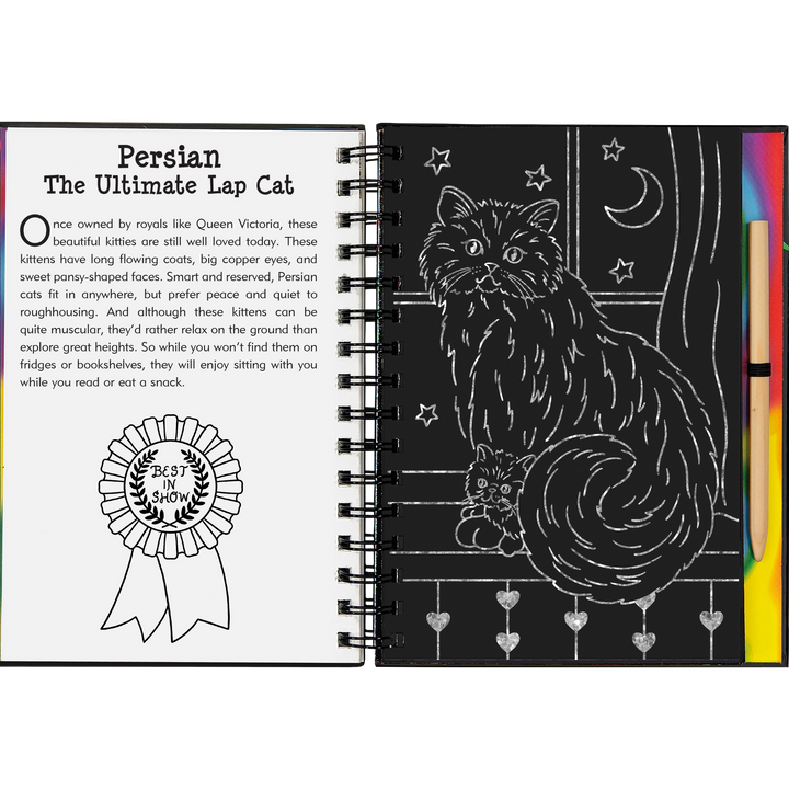 Peter Pauper Press Scratch and Sketch - Kittens