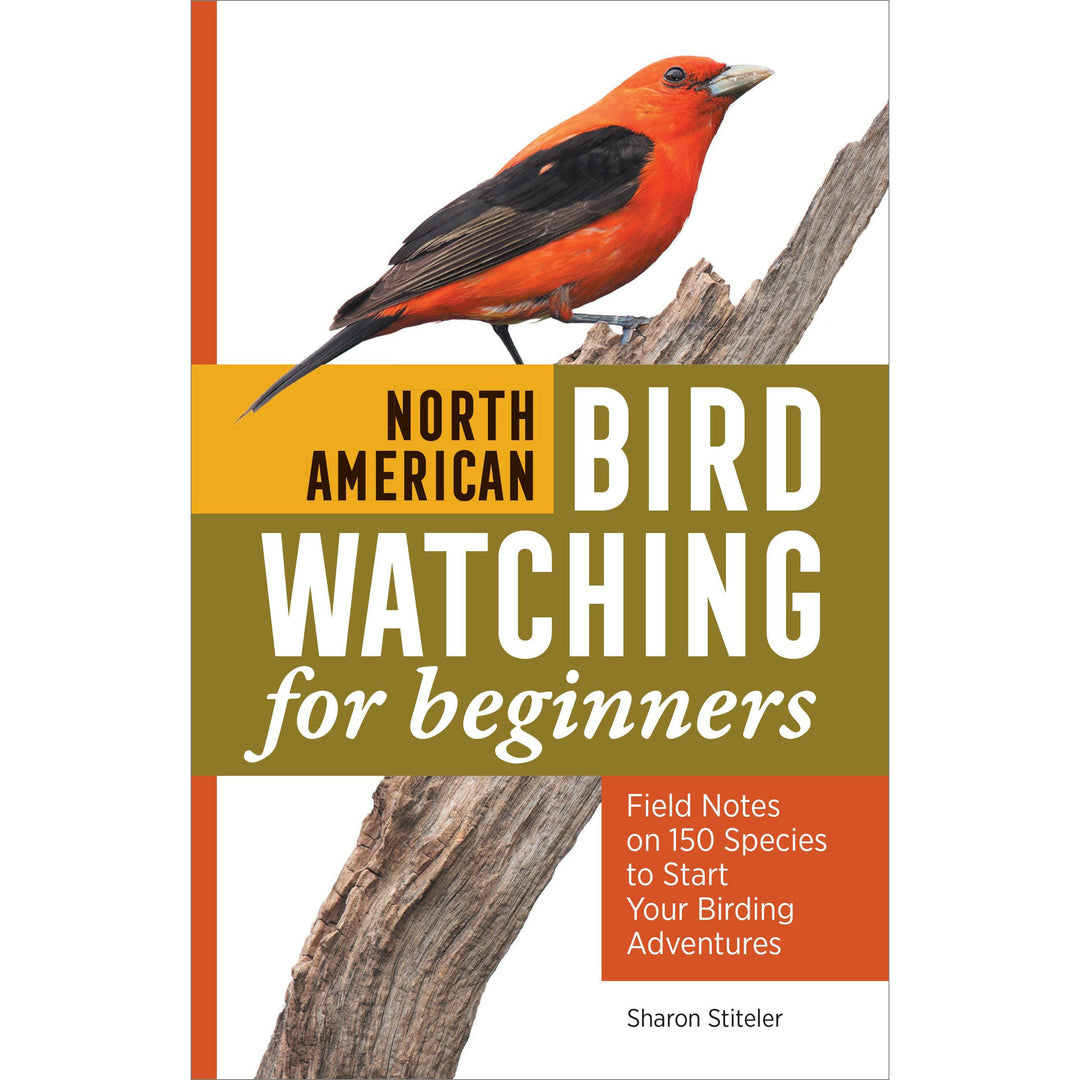 North American Bird Watching for Beginners