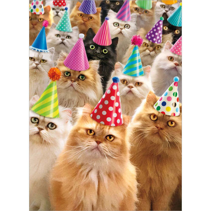 Avanti Press Cat Party Birthday Card