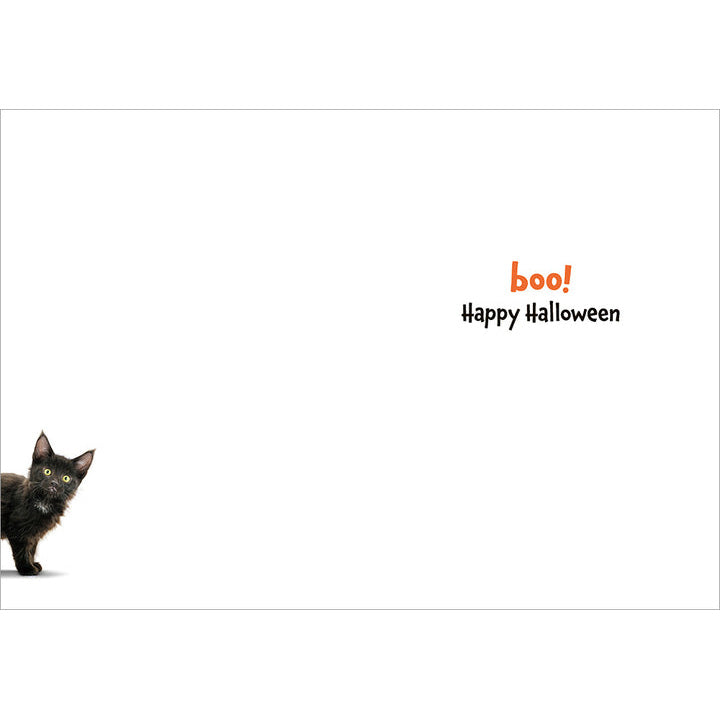 Avanti Press Black Kitten on Jack-O-Lantern Halloween Card
