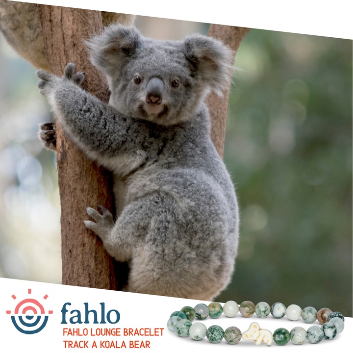 Fahlo The Lounge Bracelet - Koala