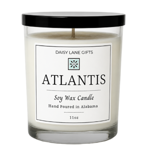 Daisy Lane Gifts 11oz Glass Jar Candle - Atlantis
