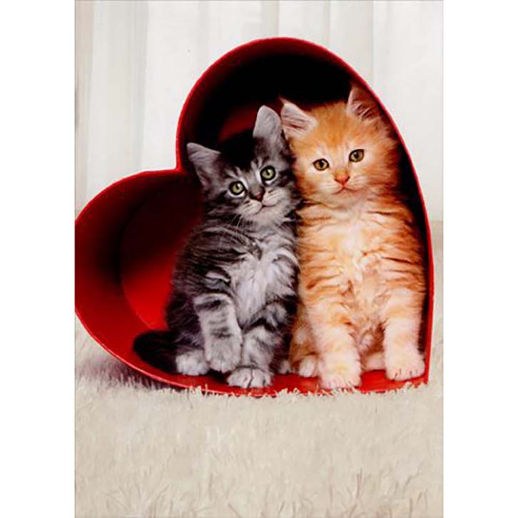 Avanti Press Two (2) Kittens in Heart Box Valentine's Card