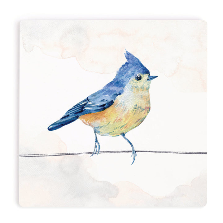 PGD Coaster - Blue Jay