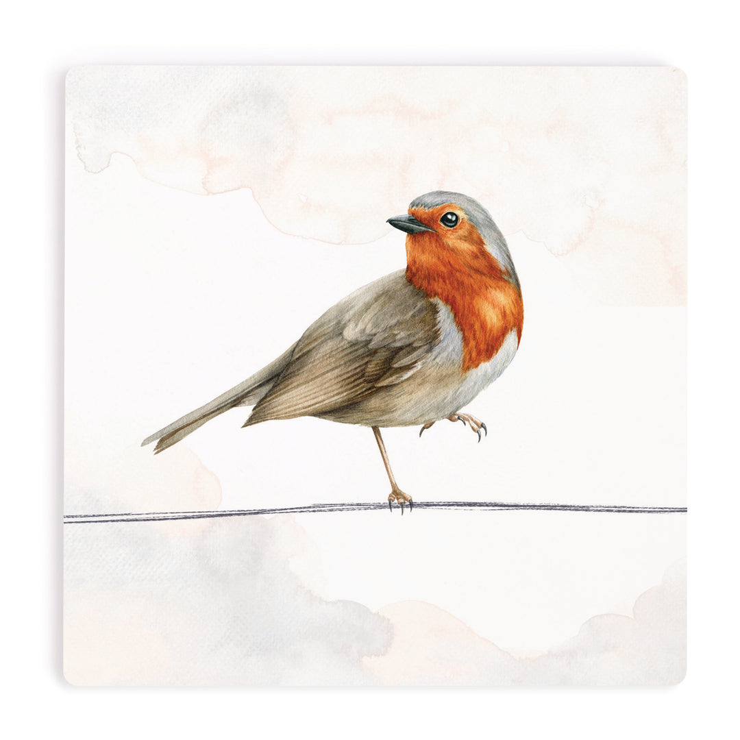 PGD Coaster - Brown Headed Thrush