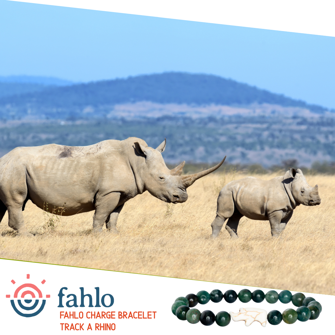Fahlo The Charge Bracelet - Rhino