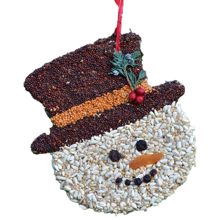 Mr. Bird Frosty Christmas Cookie