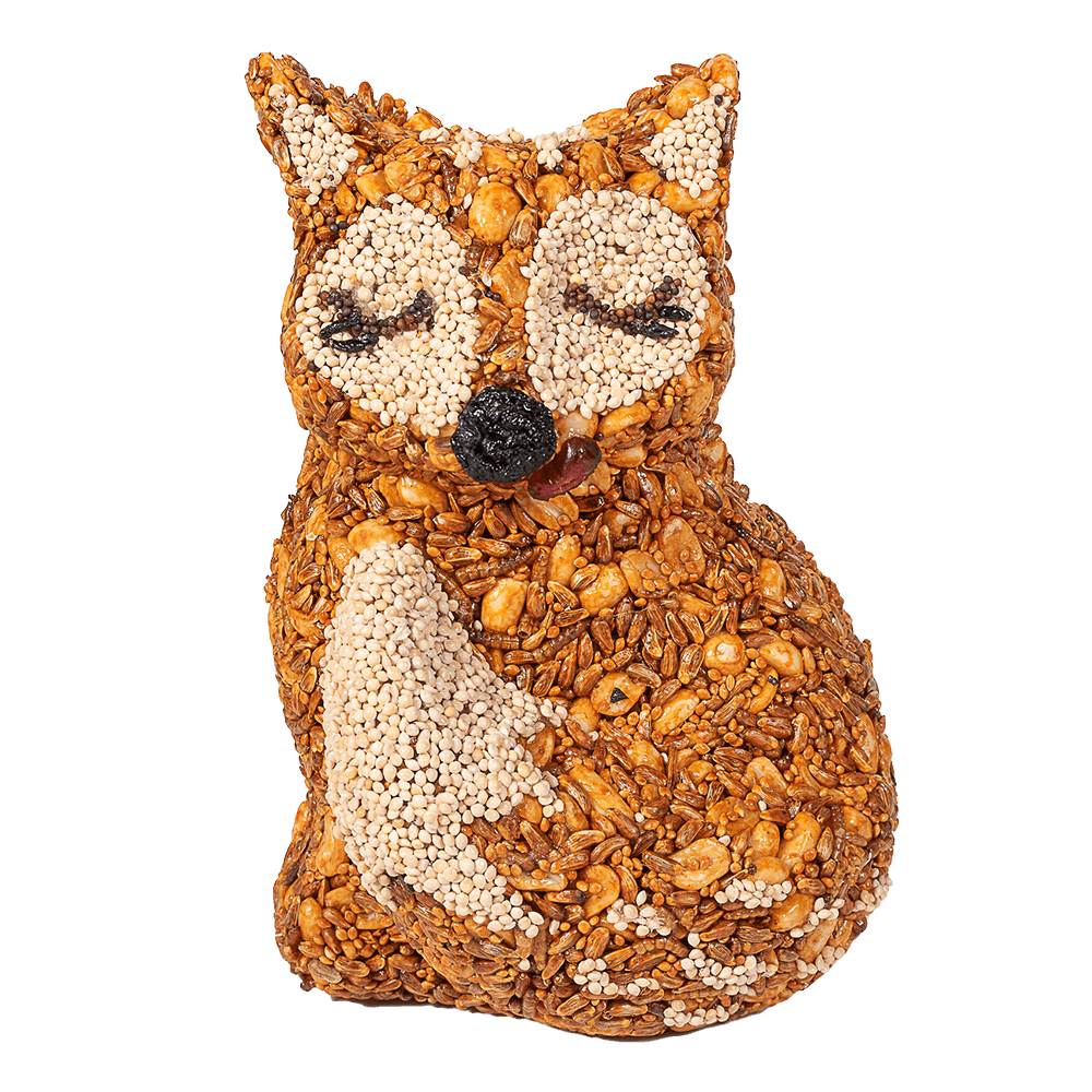 Mr. Bird Hot Foxy