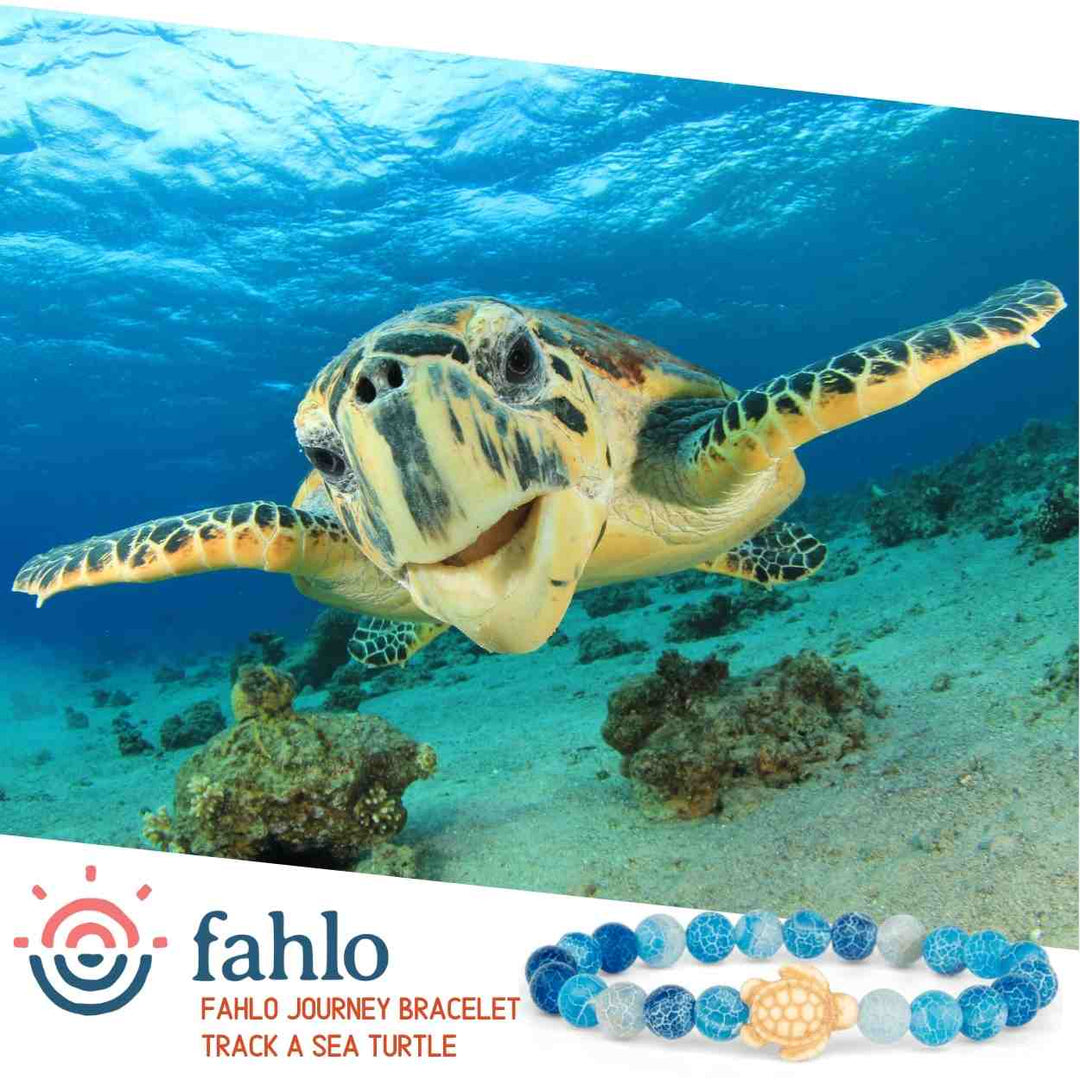 Fahlo The Journey Bracelet - Sea Turtle