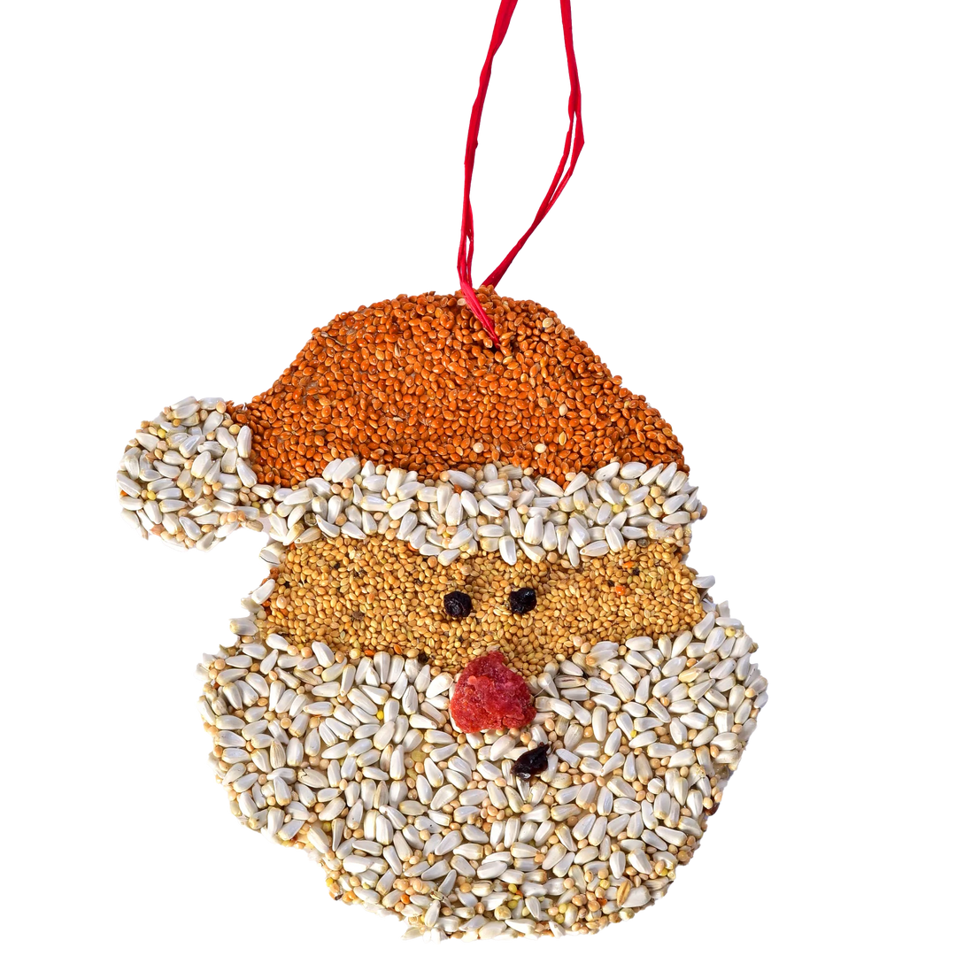 Mr. Bird Santa Christmas Cookie