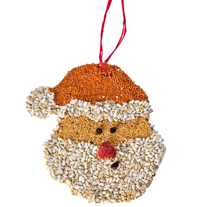 Mr. Bird Santa Christmas Cookie