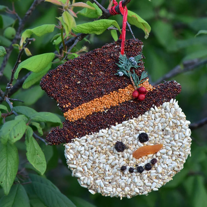 Mr. Bird Frosty Christmas Cookie