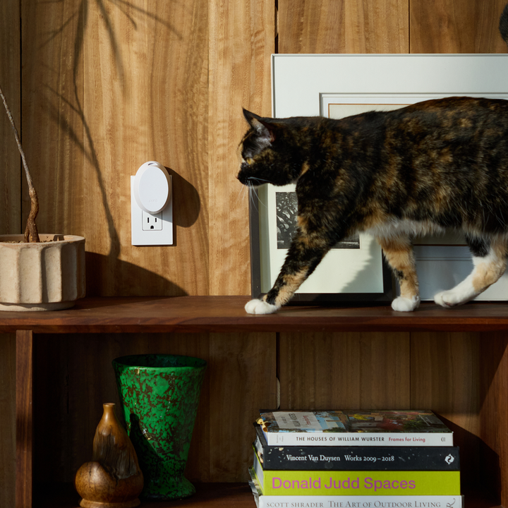 Pura Mini™ Smart Home Fragrance Diffuser