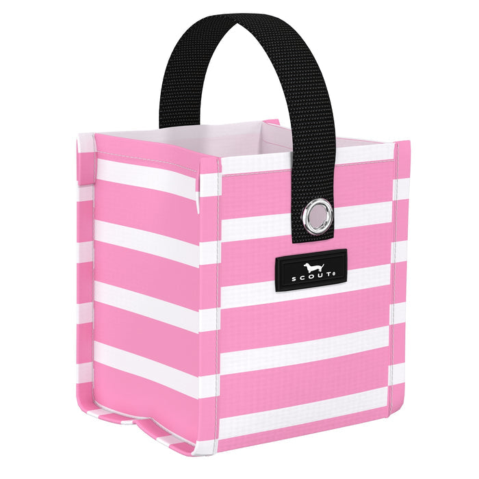 Scout Mini Package -  Palmetto Pink