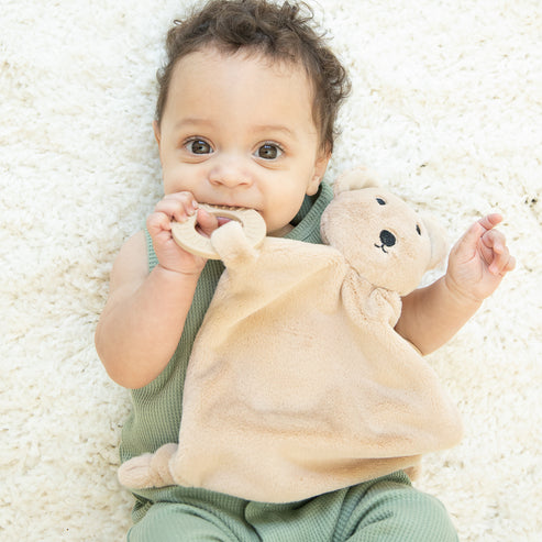 Bella Tunno Teether Buddy - Bernie the Bear