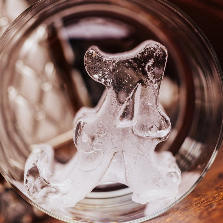 Ice Mold Large - University of Alabama