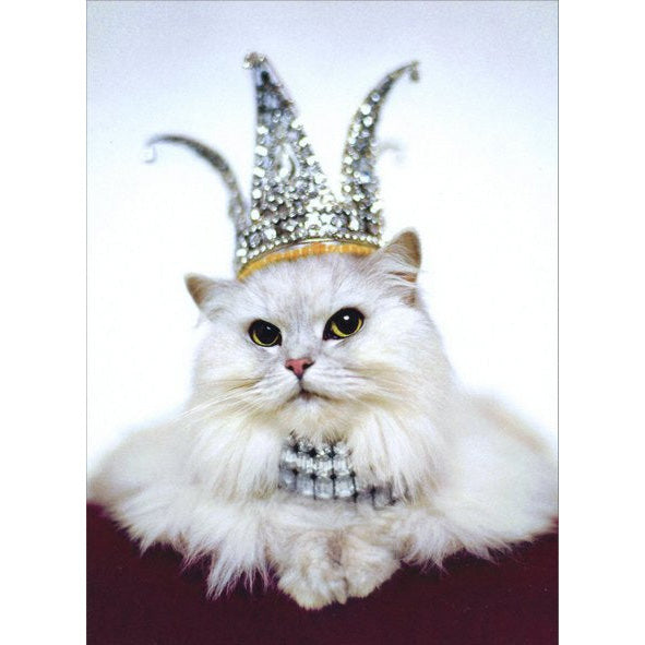 Avanti Press Princess Kitten Birthday Card