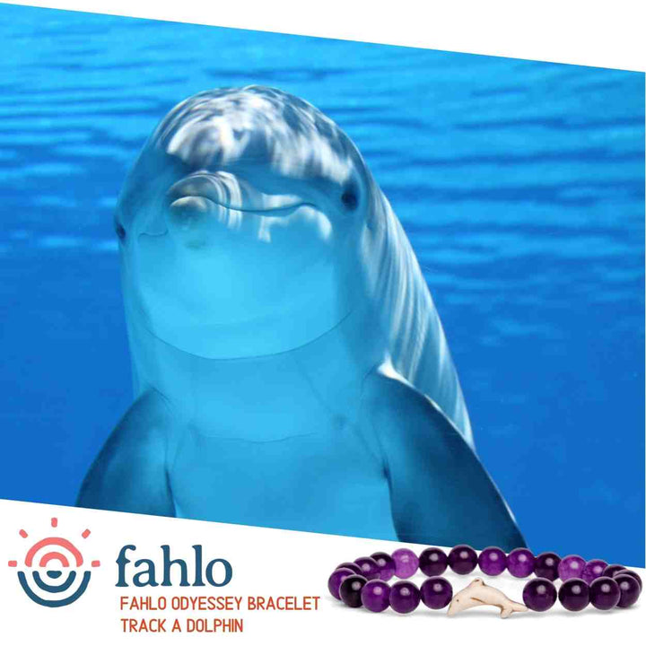 Fahlo The Odyssey Bracelet - Dolphin