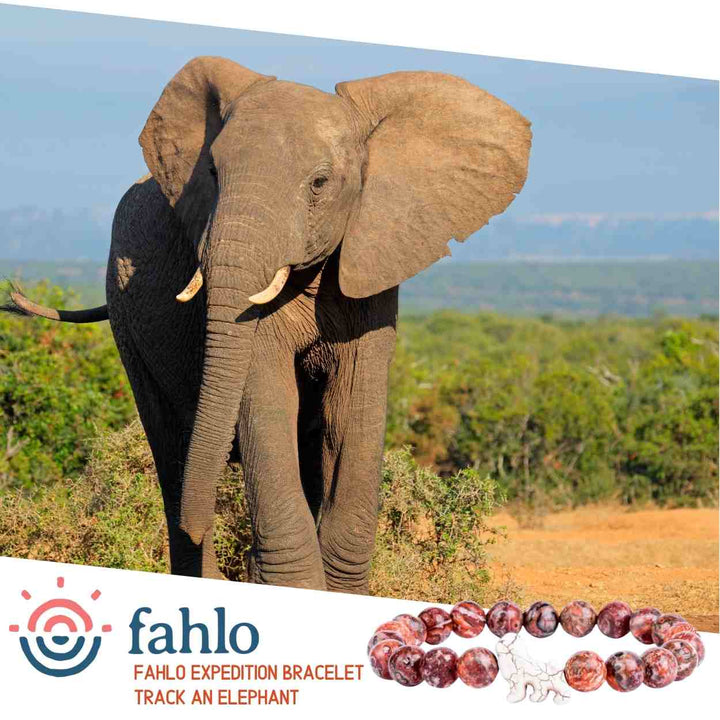 Fahlo The Expedition Bracelet - Elephant