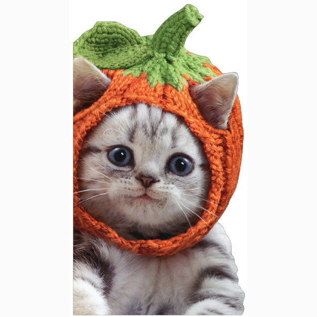 Avanti Press Kitten Knit Pumpkin Hat Halloween Card