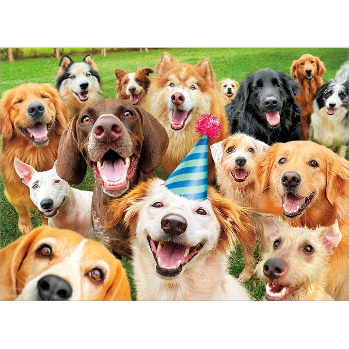 Avanti Press Smiling Dog Faces Birthday Card