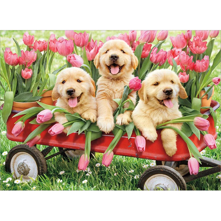 Avanti Press Puppies in Wagon Thank You Card