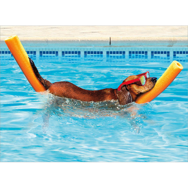 Avanti Press Dog on Pool Noodle Retirement Card