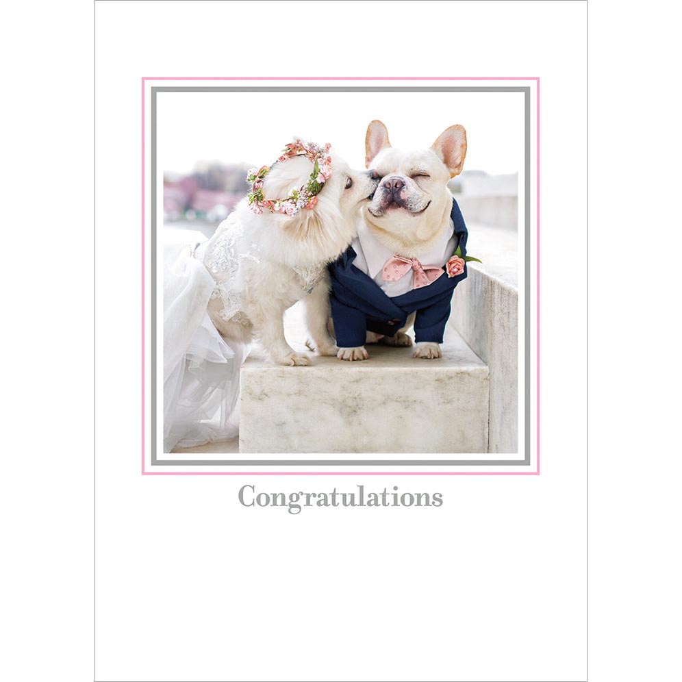 Avanti Press Wedding Dogs (Sebastian & Luna) Wedding Card
