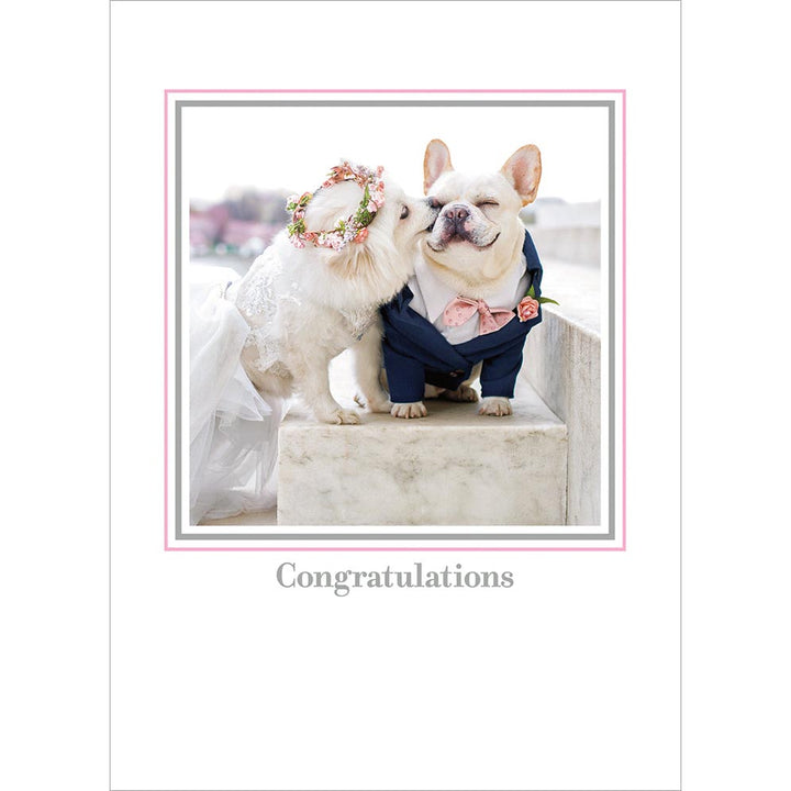 Avanti Press Wedding Dogs (Sebastian & Luna) Wedding Card