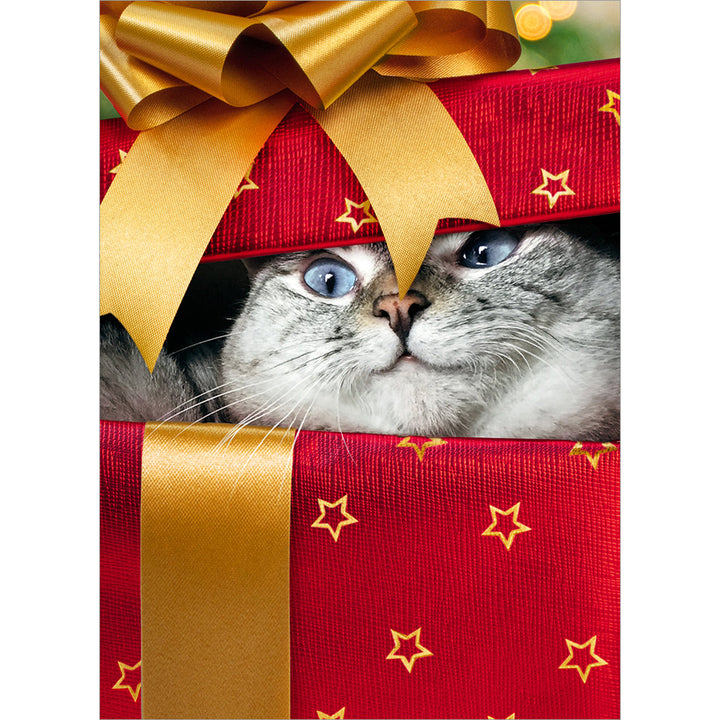 Avanti Press Cat Peeling from Gift Christmas Card