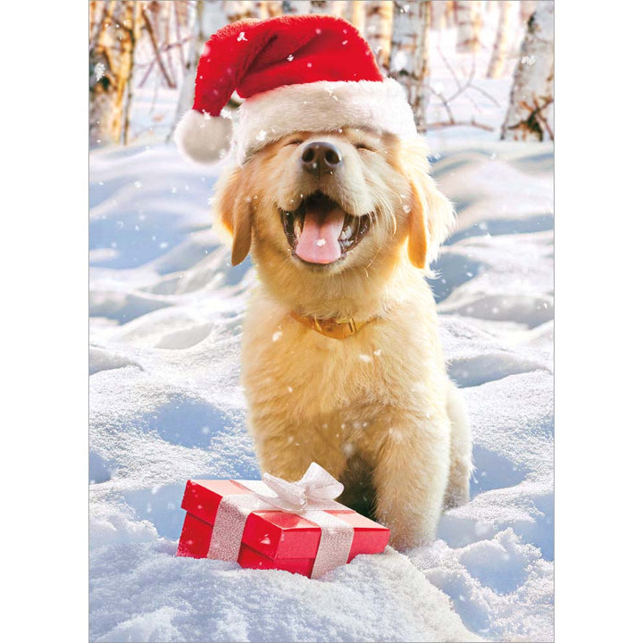 Avanti Press Christmas Santa Puppy Christmas Card