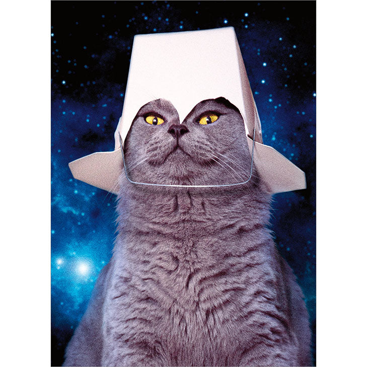 Avanti Press Cat with Take Out Container on Head Pop-Up Birthday Card