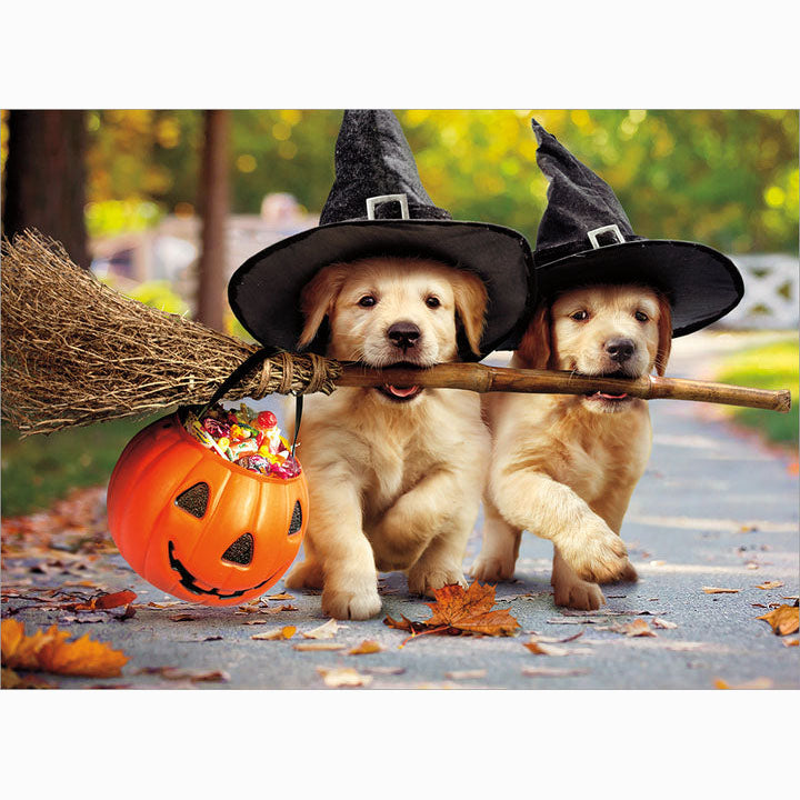 Avanti Press Golden Puppies w/Broom Stick Halloween Card