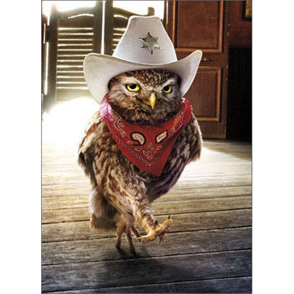 Avanti Press Cowboy Owl Birthday Card